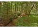 Small creek winding through a vibrant green forest, offering a tranquil and natural setting at 2710 Wyatt Grove Church Rd, Richfield, NC 28137