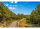 Long gravel driveway nestled in a mature forest with beautiful views of the surrounding land at 2710 Wyatt Grove Church Rd, Richfield, NC 28137