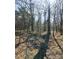 The property's quiet wooded area is beautifully shown in the clear sunlight at 28926 Hartsell Rd, Albemarle, NC 28001