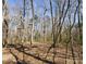 Wooded area with mature trees, providing privacy and a natural aesthetic to the property at 28926 Hartsell Rd, Albemarle, NC 28001