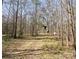 Picturesque wooded area with trees, providing privacy and a beautiful natural backdrop at 28926 Hartsell Rd, Albemarle, NC 28001