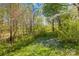 The lush backyard features beautiful bluebells and a variety of trees and bushes at 4375 Creek Ave, Midland, NC 28107