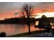 Scenic lake view with a tree in the foreground and sunset skies, capturing natural beauty and tranquility at 7424 Windy Pine Cir, Denver, NC 28037