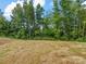 View of the backyard space showcasing the wooded area behind the home at 3034 Trailblazer St, Charlotte, NC 28215
