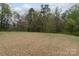 Large backyard with grass and many trees, perfect for outdoor activities at 7217 Cedarfield Rd, Charlotte, NC 28227