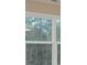 A close up of a window reveals trees and landscape outside at 7217 Cedarfield Rd, Charlotte, NC 28227