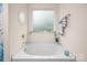 Relaxing tub area with frosted window and decorative accents creating a spa-like atmosphere at 200 Boysenberry Dr, China Grove, NC 28023