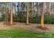 Spacious backyard with mature trees, green grass, and natural landscape lighting at 4427 Bright Rd, Charlotte, NC 28214