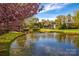 A scenic pond with a fountain surrounded by flowering trees and lush landscaping at 819 Beauhaven Ln, Waxhaw, NC 28173