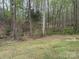 A view of the backyard with trees in the background at 102 Lansdale Ave, Lincolnton, NC 28092