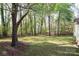 Spacious backyard featuring lush greenery and mature trees, perfect for outdoor relaxation and activities at 11100 Pine Grove Ave, Mint Hill, NC 28227