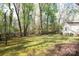 Spacious backyard with mature trees and a partially-fenced perimeter at 11100 Pine Grove Ave, Mint Hill, NC 28227