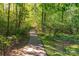 Walking path through the trees at 19113 Southport Dr, Cornelius, NC 28031