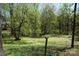 Lush, wooded backyard with established trees, green grass, and natural landscaping at 311 33Rd Street Se Dr, Hickory, NC 28602