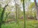 Backyard view showcasing a natural setting with lush foliage and mature trees at 615 Ridgeway Dr, Belmont, NC 28012