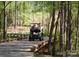 Golf cart drives along a wooded path on a sunny day, offering a serene and green outdoor experience at 19650 Harbor Watch Ct, Lancaster, SC 29720