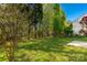 Backyard with mature trees and an open grassy area with a partial fence at 3411 Xandra Ct, Indian Land, SC 29707
