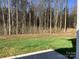 Expansive backyard with lush green grass and mature trees providing privacy and a tranquil setting at 5126 Rocky River Crossing Rd, Harrisburg, NC 28075