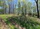 Picturesque landscape with verdant trees and a gentle slope, ideal for building or recreational activities at 5373 Nc Hwy 16 N Hwy, Taylorsville, NC 28681