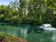 Scenic view of a serene pond with a fountain, surrounded by lush greenery and mature trees at 117 Wrenwood Ln, Charlotte, NC 28211