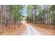 Gravel driveway leading through a wooded area to the main property at 317 Boyd Rd, Clover, SC 29710