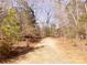 Winding dirt road leading through a wooded area, promising serene privacy at 5546/5510 Hoodtown Rd, Sharon, SC 29742