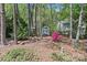 Lush backyard featuring wooded area with storage shed, flower bushes, and mature trees at 11841 Mourning Dove Ln, Charlotte, NC 28269