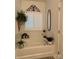 Bright bathtub area, accented by live plants and a decorative oval mirror at 123 Grey Fox Ln, Mount Gilead, NC 27306