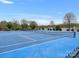 Bright blue tennis court with well-maintained nets surrounded by lush trees on a sunny day at 1669 Beleek Ridge Ln, Clover, SC 29710