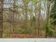 View through trees, potentially from deck or patio at 1669 Beleek Ridge Ln, Clover, SC 29710