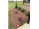 Lush landscaping around the front porch featuring various plants, shrubs, and colorful flowers, all beautifully mulched at 406 Williamson St, Fort Mill, SC 29715