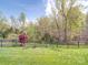 Spacious backyard featuring lush green grass, a black fence, and mature trees at 7138 Dove Field Ln, Indian Land, SC 29707