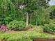 Lush backyard with mature trees and flowering bushes at 8623 Tullamore Park Cir, Charlotte, NC 28226