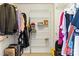 Walk-in closet with ample storage space, shelving, and hanging racks for organized clothing at 10609 Washam Potts Rd, Cornelius, NC 28031