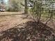 Grassy yard with leaves and a bush at 1586 Brook Ln, Denver, NC 28037