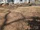 View of the grassy yard with leaves at 1586 Brook Ln, Denver, NC 28037
