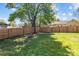 A spacious backyard is enclosed by a wooden fence, highlighted by a large shade tree, and stone fire pit at 207 Kerr Nw St, Concord, NC 28025