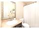 Traditional bathroom with a framed mirror, sink and a shower curtain over the tub at 3254 Pikes Peak Dr, Gastonia, NC 28052