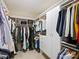 Organized walk-in closet with custom shelving provides ample storage for clothing and accessories, and carpet at 516 White Tail Ter, Waxhaw, NC 28173