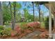 Landscaped front yard with mature trees viewed from front porch at 8605 Ducksbill Dr, Charlotte, NC 28277