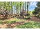 Picturesque backyard featuring lush greenery and mature trees creates a private, natural retreat at 1432 Deer Forest Dr, Fort Mill, SC 29707