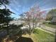 View of lush flowering tree from inside the home's window at 501 E Lafayette St, Salisbury, NC 28144