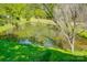 Picturesque backyard pond surrounded by lush greenery and trees creates a serene and natural setting at 517 Bertram Rd, Fort Mill, SC 29708