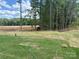 A new lawn and a wooded area are features of this property at 5711 Skinny Dr, Charlotte, NC 28215