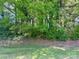 Lush green space with dense trees and foliage, ideal for nature lovers at 140 Lake Concord Ne Rd # D-1, Concord, NC 28025