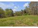 Sprawling green field surrounded by lush trees and greenery, offering serene natural views at 1975 Old Wilkesboro Rd, Taylorsville, NC 28681