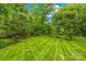 Serene backyard featuring a perfectly cut lawn, lush greenery and mature trees that enhance the appeal of this peaceful retreat at 6744 Wheeler Dr, Charlotte, NC 28211