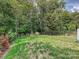 Fenced backyard featuring green grass and surrounding trees at 7324 Swans Run Rd, Charlotte, NC 28226