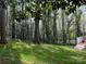 Lush backyard with mature trees and a staircase at 815 21St Avenue Nw Dr, Hickory, NC 28601