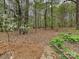 Landscaped backyard with a variety of trees and ground cover offering peaceful scenery at 2313 Beechwood Dr, Waxhaw, NC 28173